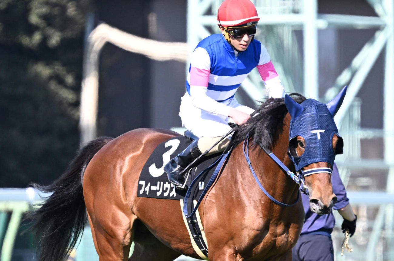 3月1日、水仙賞3着のフィーリウス