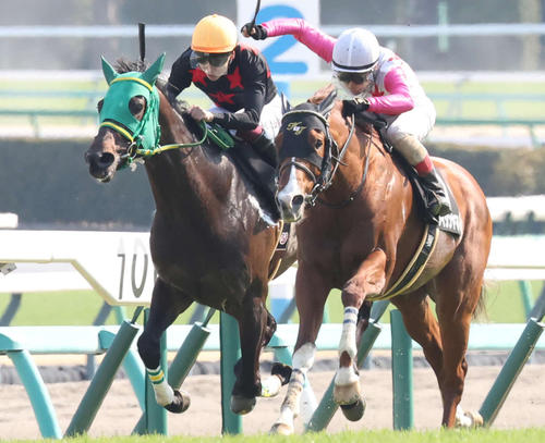 3月23日、鎌ケ谷特別2着に敗れたメタルスピード（左）