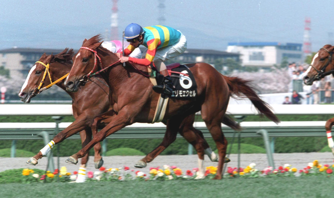 98年忘れな草賞を制したエリモエクセル
