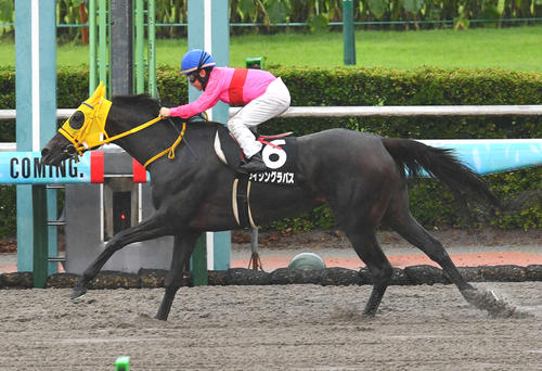 ライジングラパス(2024年撮影)