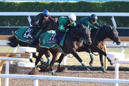 上村師が騎乗し、Cウッド3頭併せで追い切られたジーティーアダマン(中)