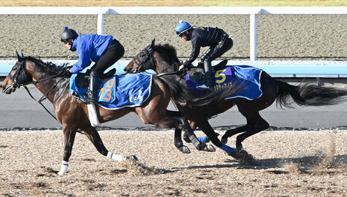 16日、美浦ウッドを2頭併せで追い切るカラマティアノス（右）