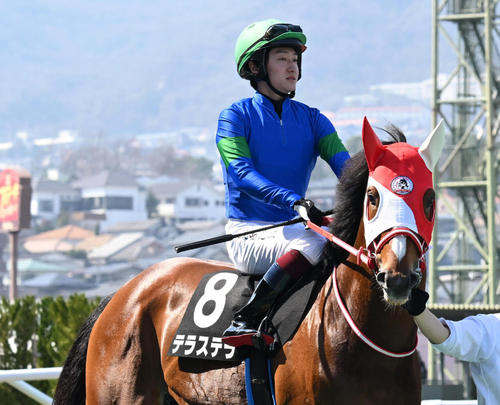 讃岐特別3着のテラステラ