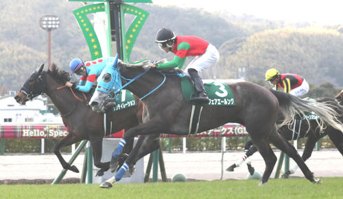 1月25日小倉牝馬Sを同着で制したフェアエールング
