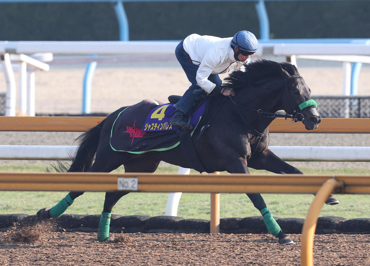 泉谷騎手を背にCウッドを単走で追い切るジャスティンパレス（撮影・白石智彦）