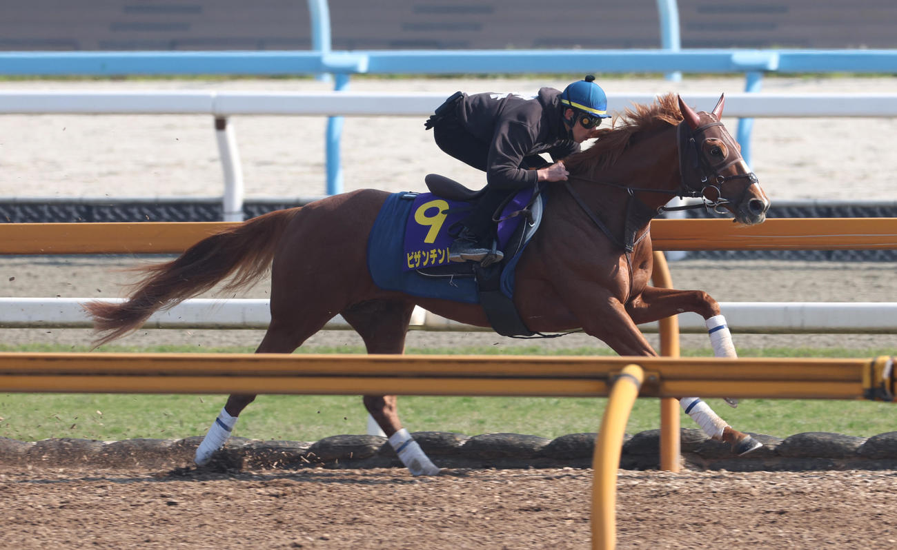 Cウッドコースで追い切るビザンチンドリーム