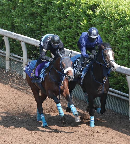坂路で追い切られたブローザホーン(左)