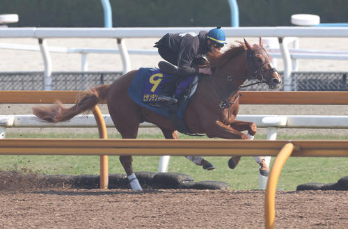 CWコースで追い切るビザンチンドリーム