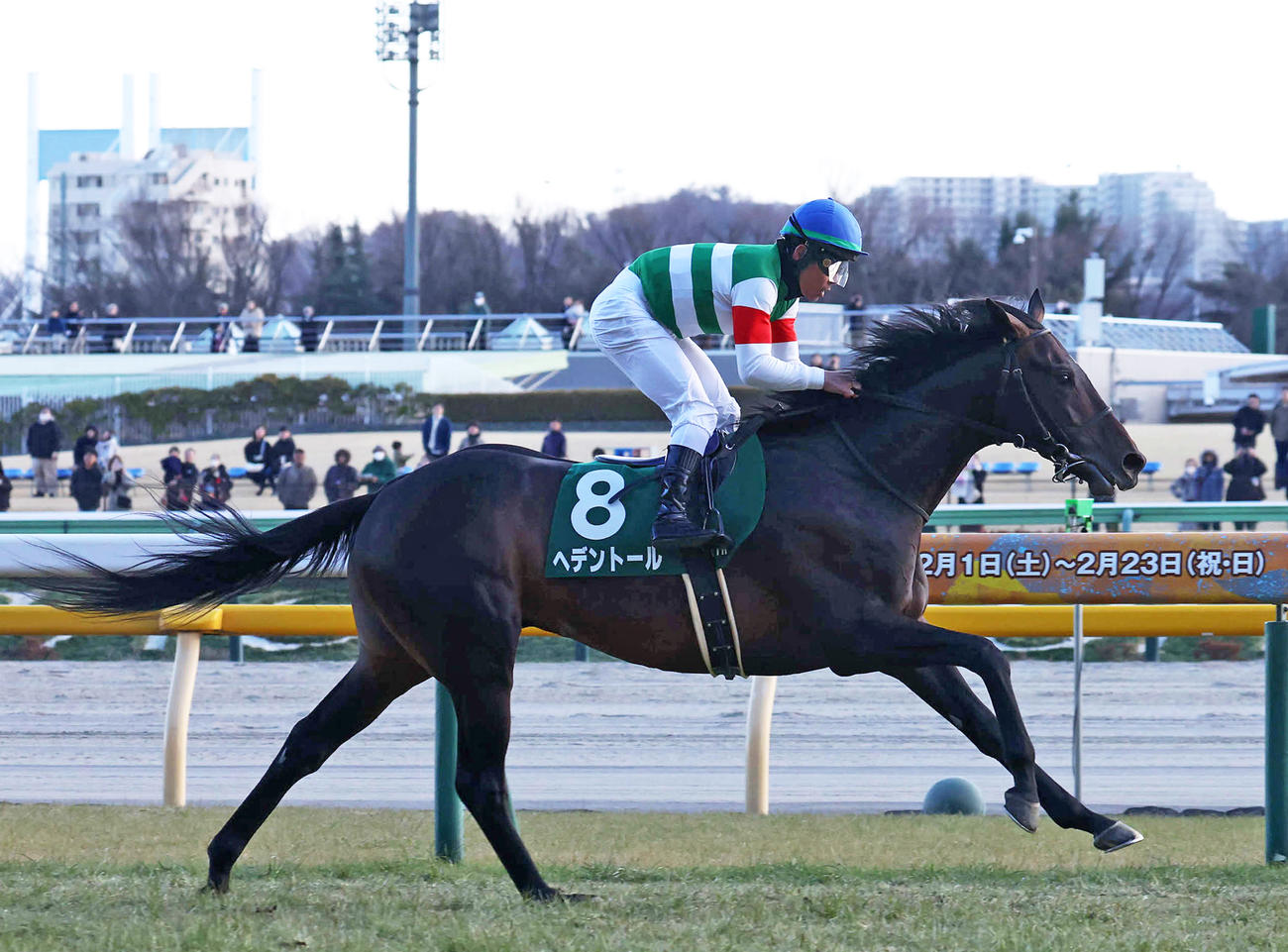 ダイヤモンドSを制したヘデントールと戸崎騎手