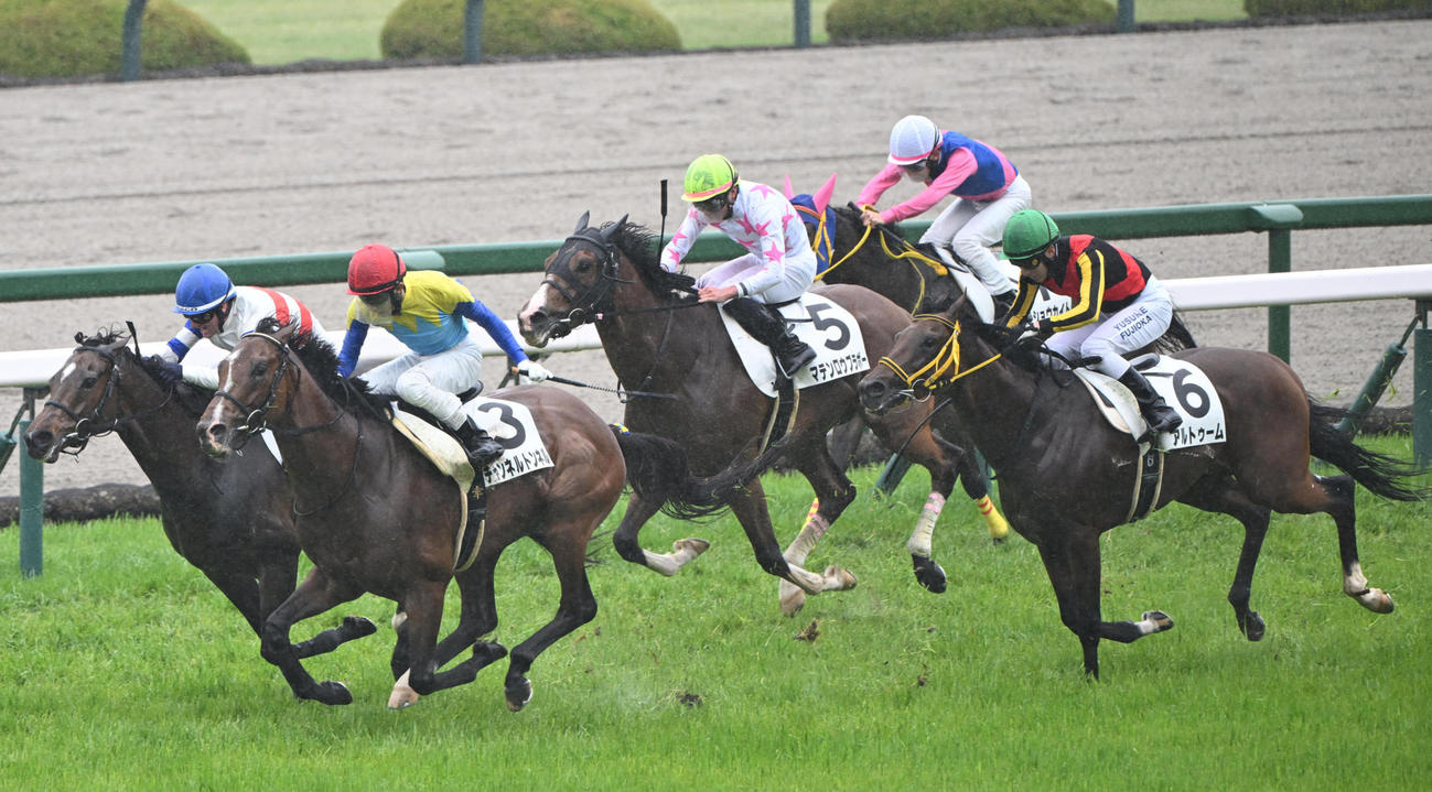4月13日阪神7R4歳以上2勝クラス、3着のアルトゥーム（右）