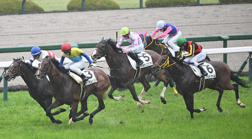 4月13日阪神7R4歳以上2勝クラス、3着のアルトゥーム(右)