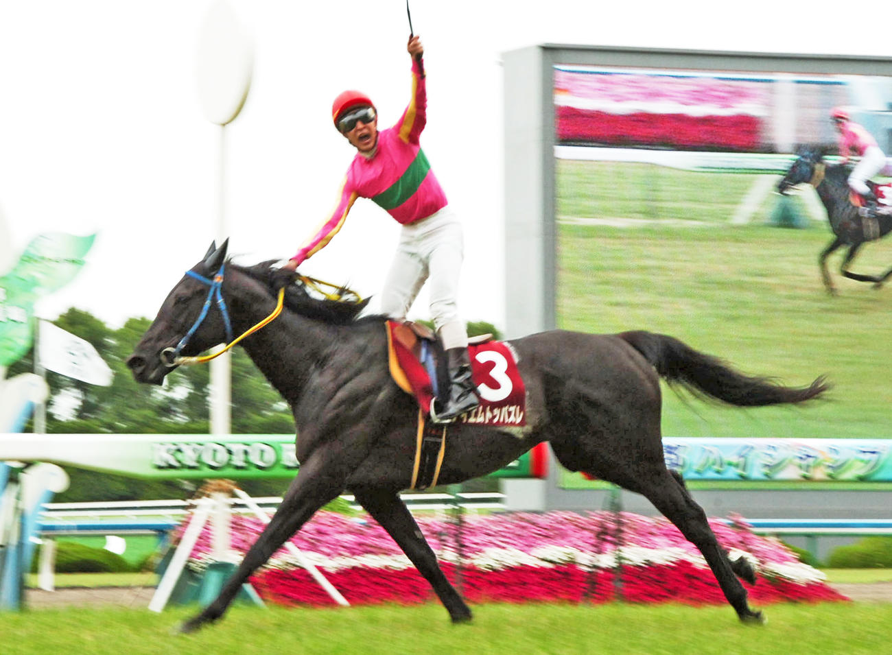 09年京都ハイジャンプを制したテイエムトッパズレ