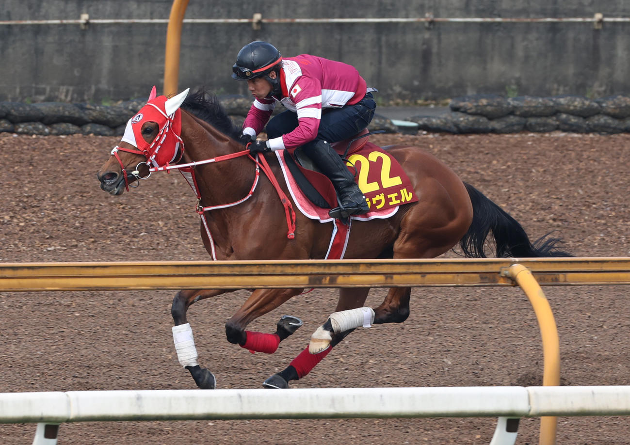 Cウッドで追い切るラヴェル