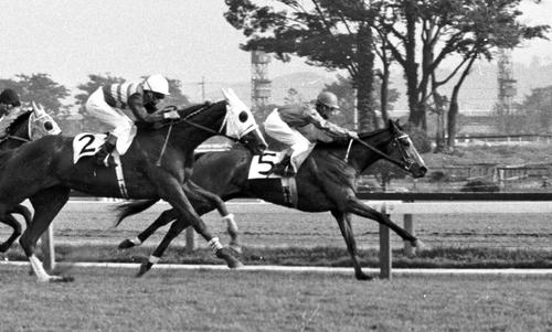 67年阪神優駿牝馬をヤマピツトで制した保田隆芳騎手