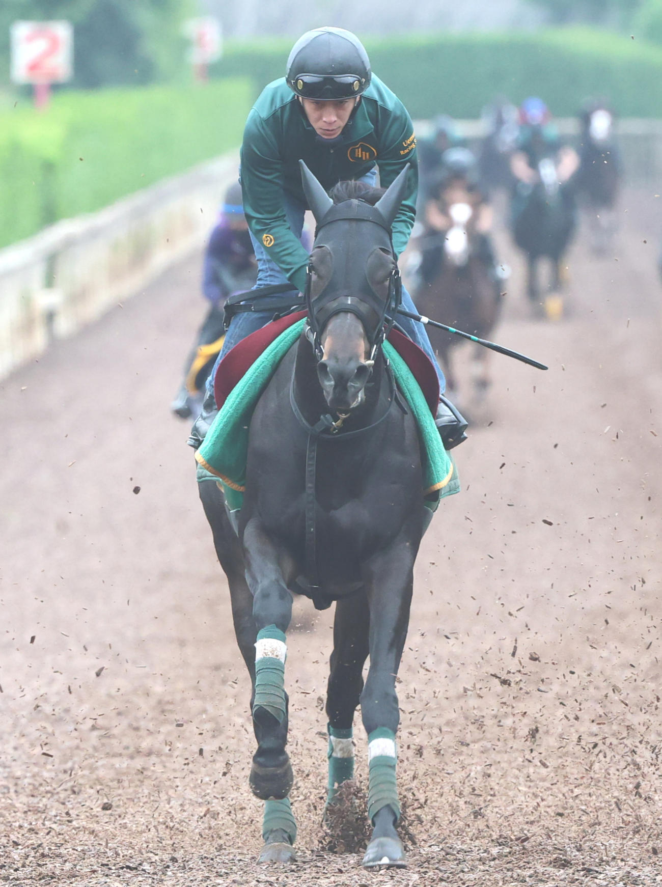 坂路で併せ馬で仕上げられたアルマヴェローチェ