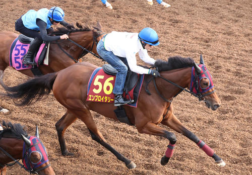 21日、エンブロイダリー（中央）はルメール騎手を背に美浦坂路を3頭併せで登坂した