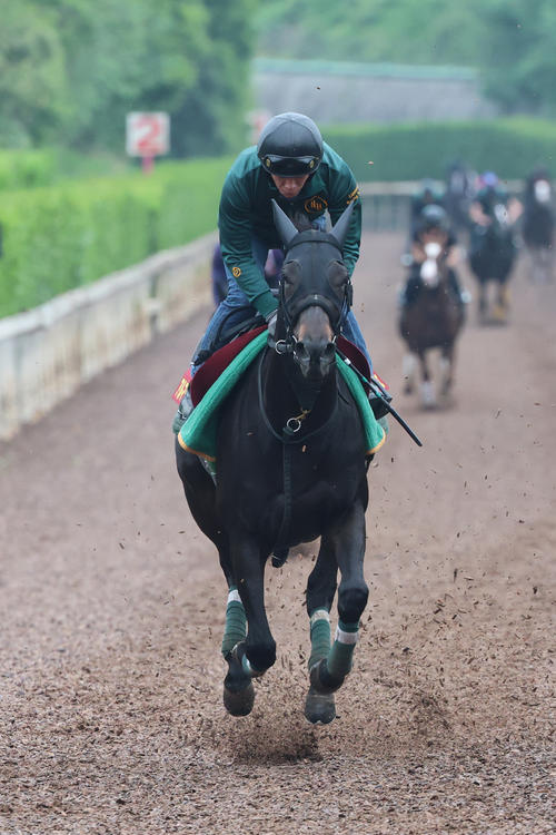 21日、坂路併せ馬で仕上げられたアルマヴェローチェ