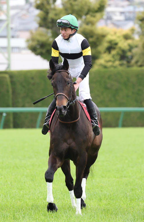 ラヴァンダ（2025年4月12日撮影）