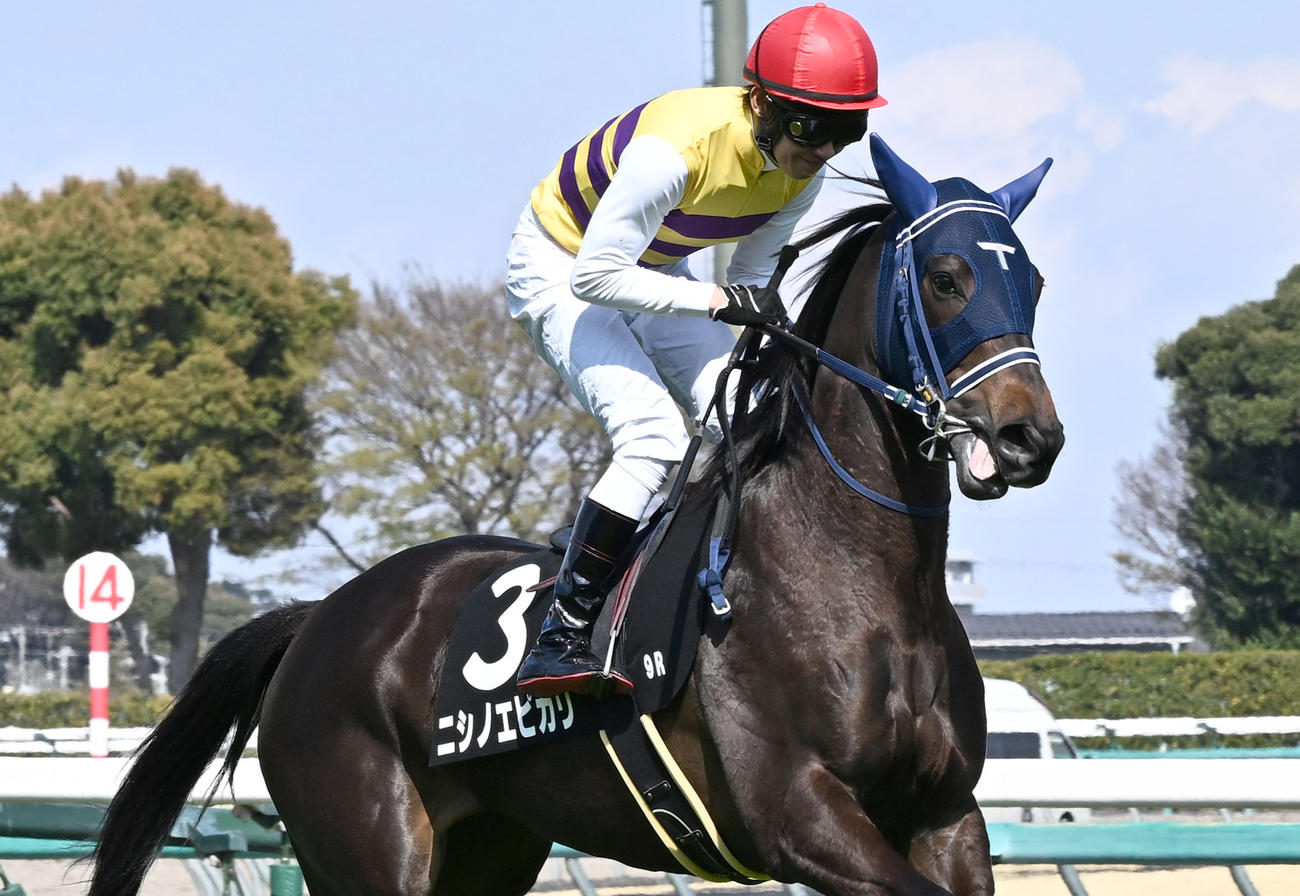 3月30日ミモザ賞7着に敗れたニシノエピカリ