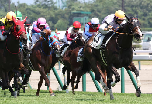 エールレヴリー(右)