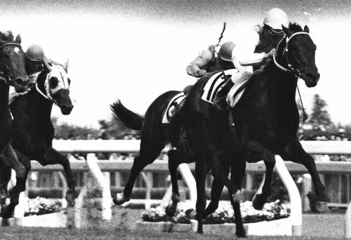 83年ダービーを制したミスターシービー