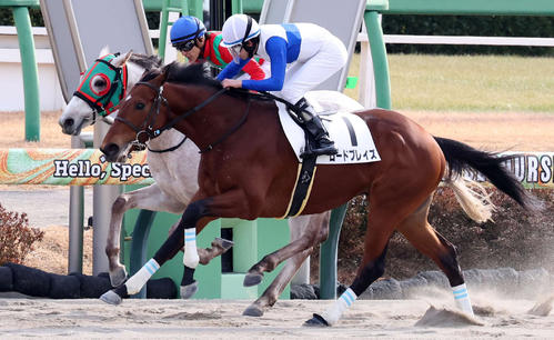 1月5日中山4Rの4歳上1勝クラスを制したロードブレイズと横山和騎手(手前)