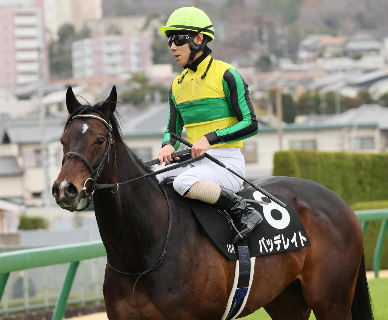 難波S5着のバッデレイト