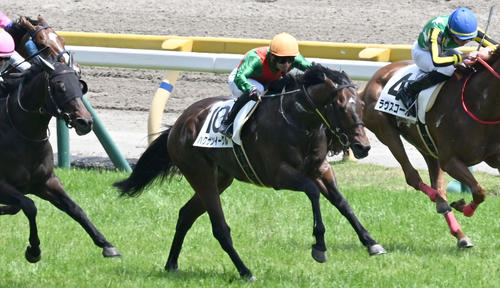 5月11日東京6R4歳上1勝クラスを制したハクサンイーグル