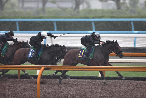 横山和騎手が騎乗し、CWコース3頭併せで先着したベラジオオペラ(右)