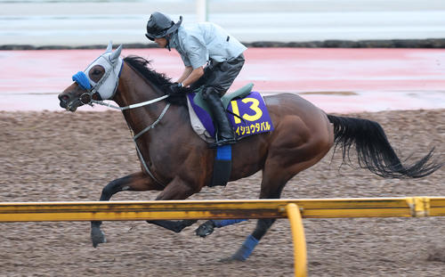 CWコースで追い切るメイショウタバル