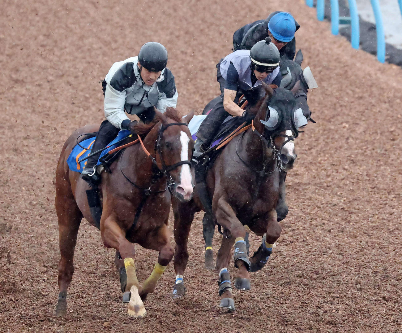 11日、アーバンシック（中央）は美浦ウッドを3頭併せで追い切られた
