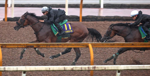 11日、横山和騎手を背にCウッドコースにて3頭併せで追い切るベラジオオペラ