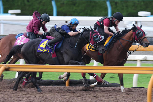 11日、幸英明騎手が騎乗しCウッドコース3頭併せで追い切られたジューンテイク(中)