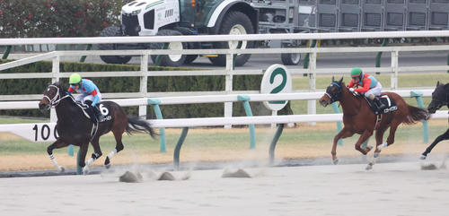 舞鶴Sを制し4連勝のダブルハートボンド（左）