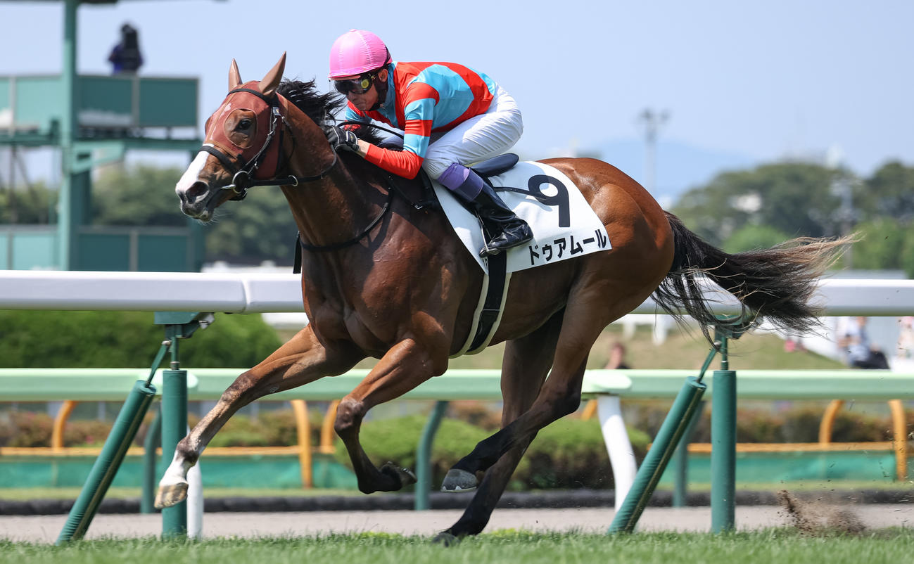 2024年7月14日、函館1Rの2歳未勝利戦を勝ち上がったドゥアムール