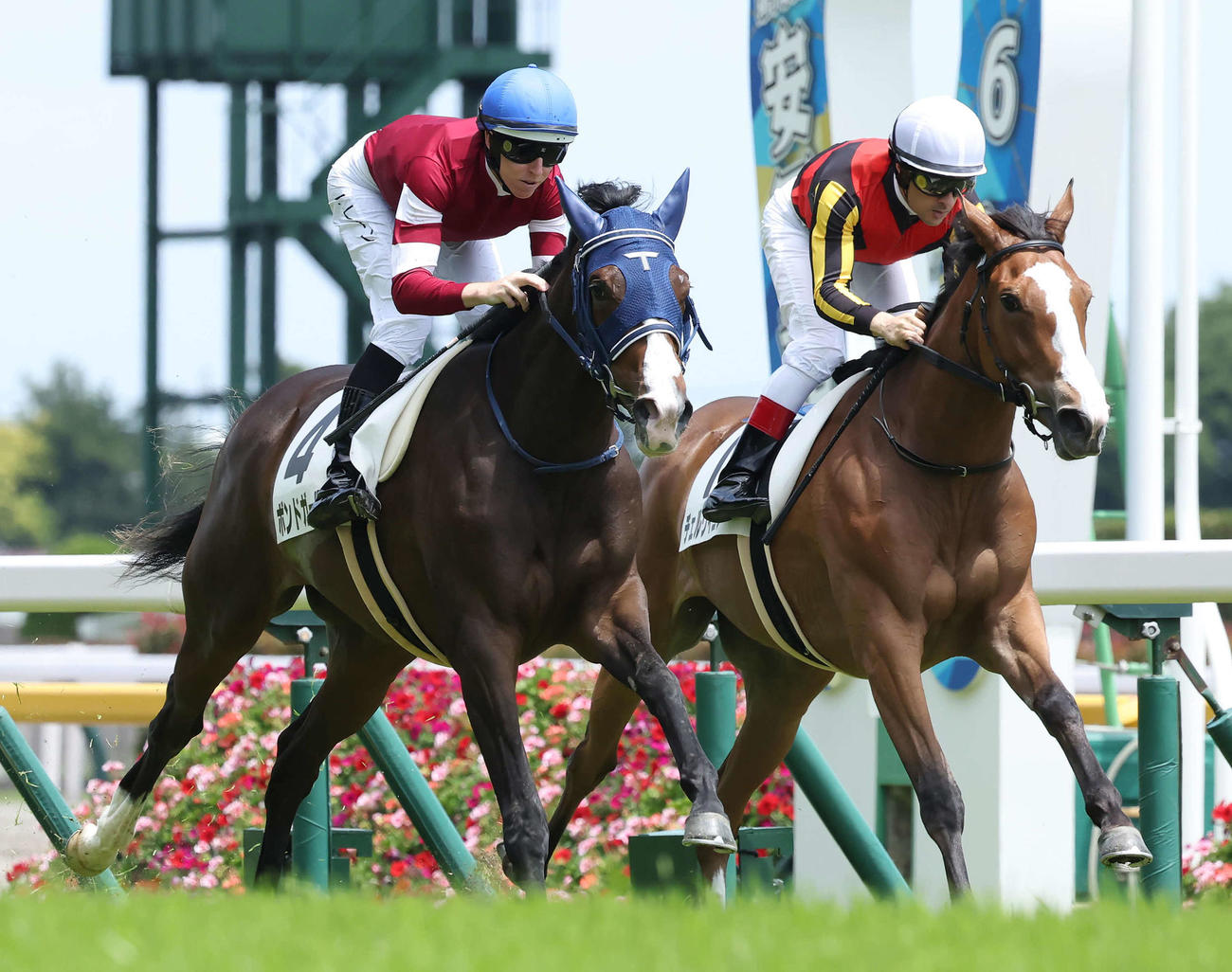 23年6月新馬戦で2着のチェルヴィニア（右）（撮影・丹羽敏通）