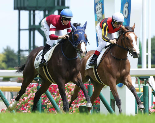 23年6月新馬戦で2着のチェルヴィニア（右）（撮影・丹羽敏通）