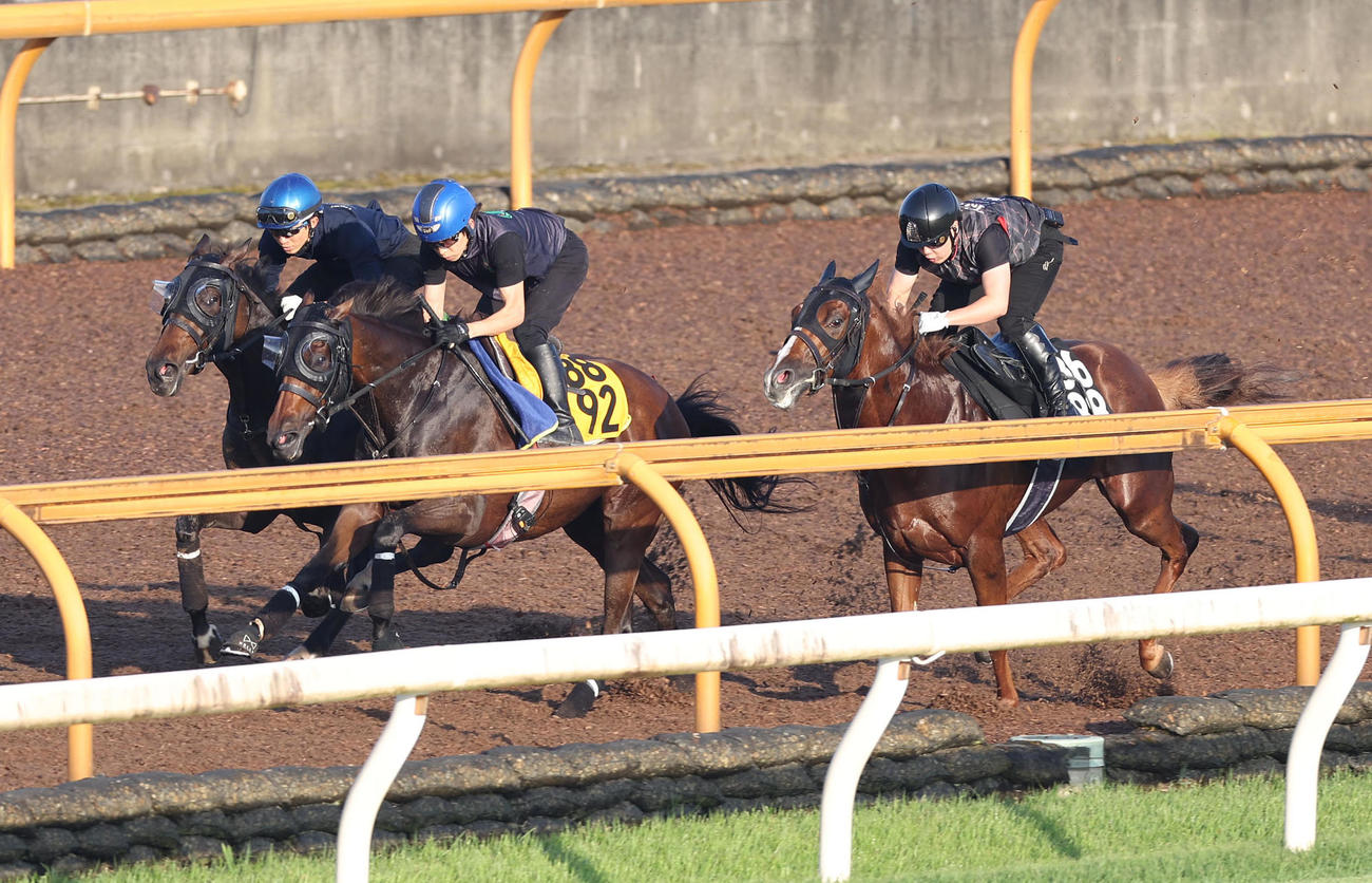 団野騎手を背にCウッドを3頭併せで追い切るタガノエルピーダ（中央）（撮影・白石智彦）
