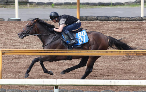 ラケマーダ