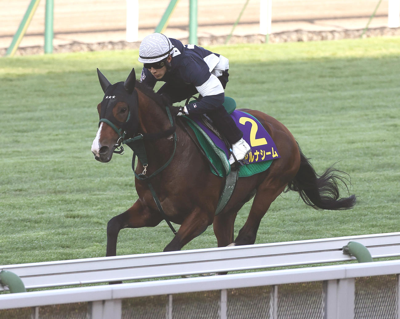 藤岡佑騎手を背に、函館芝コースで追い切られるアルナシーム