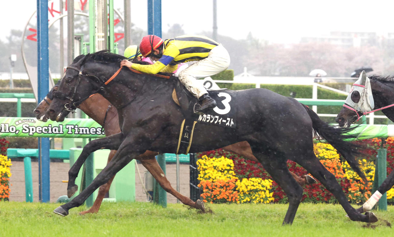4月13日鹿野山特別を制したルカランフィースト