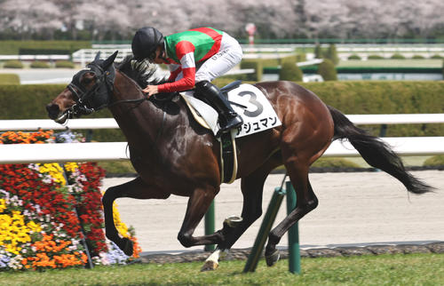 4月5日阪神4Rの3歳未勝利を制したアジュマン