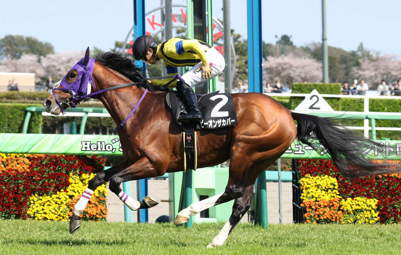 4月12日山藤賞を制したビーオンザカバー