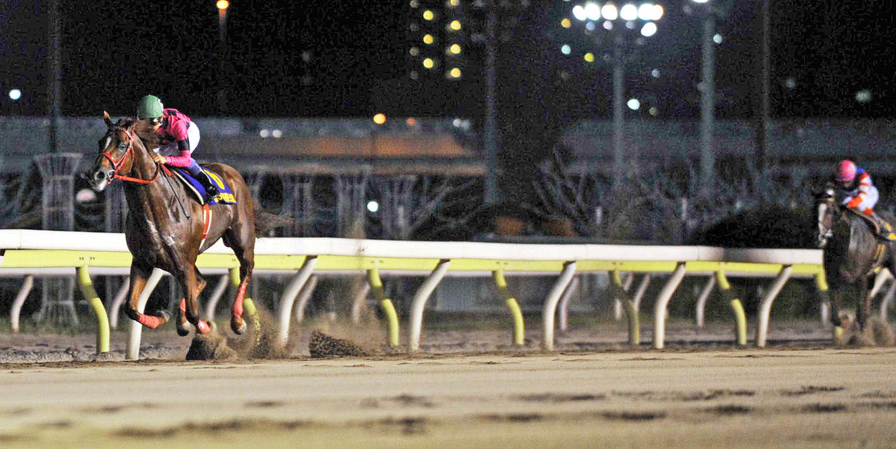 11年帝王賞を9馬身差で制したスマートファルコン