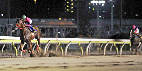 11年帝王賞を9馬身差で制したスマートファルコン