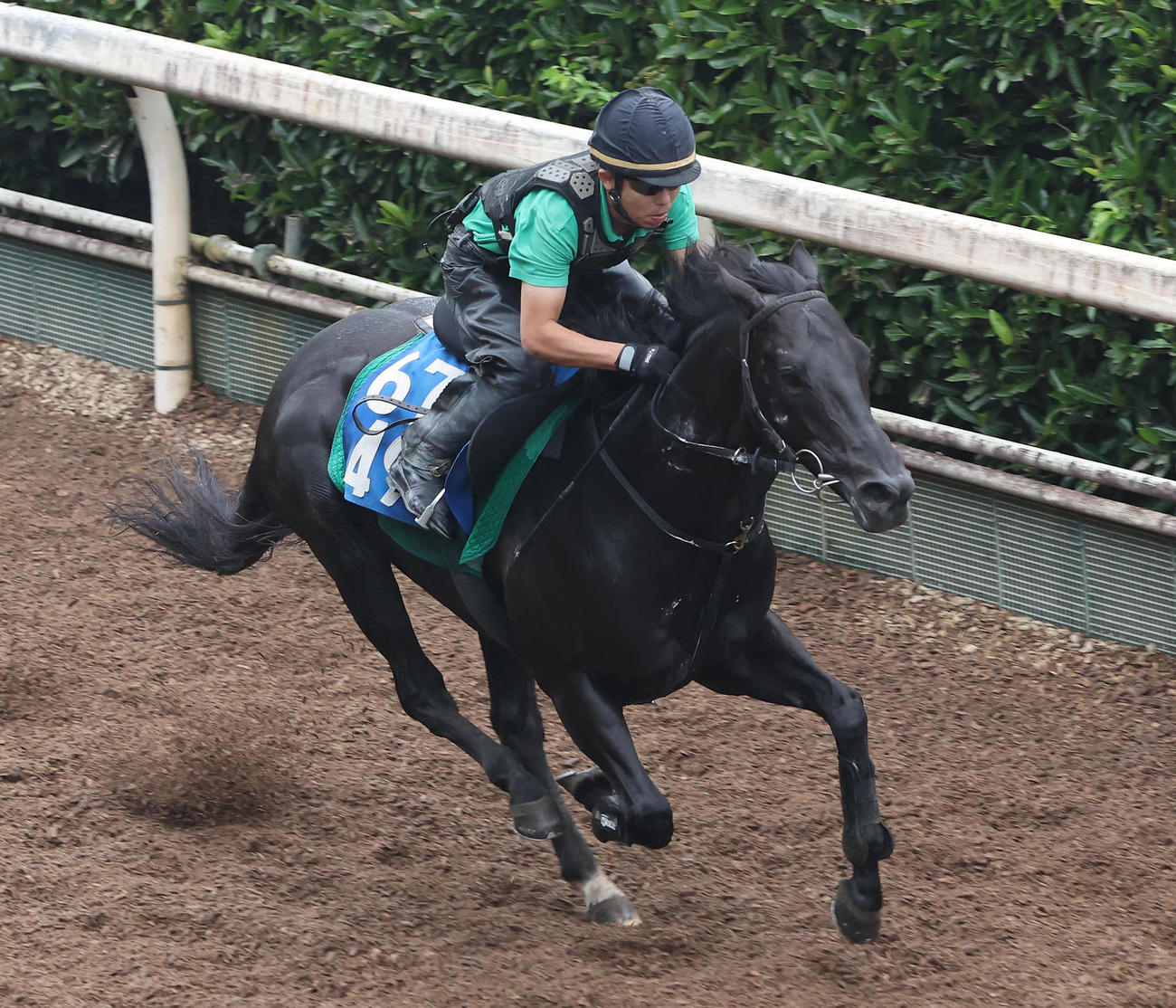 2日、坂路を単走で追い切るオタルエバー