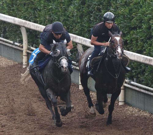 2日、坂路をララアヴリル(右)と併せ馬で追い切るヤマニンアルリフラ