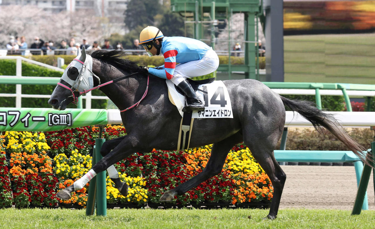 4月5日中山5Rの3歳未勝利戦を制したヤマニンエイドロン