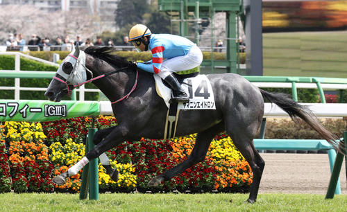 4月5日中山5Rの3歳未勝利戦を制したヤマニンエイドロン