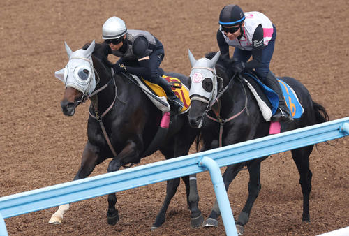 アピーリングルック（左）（2025年7月2日撮影）